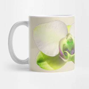 Yellow Orchid Mug